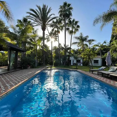 In Palm Tree Plantation, Near The Beach. Villa *