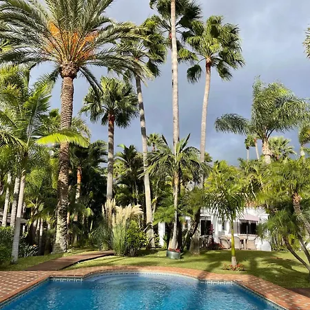 In Palm Tree Plantation, Near The Beach. Villa *