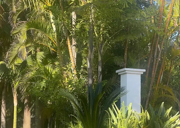 Villa In Palm Tree Plantation, Near The Beach. Marbella