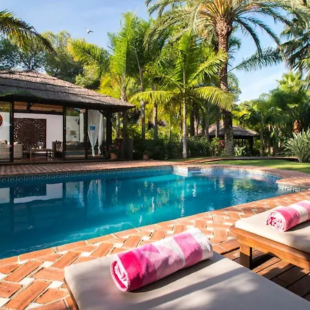Villa In A Palm Tree Plantation *