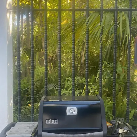 In A Palm Tree Plantation Villa