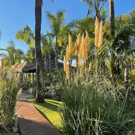 Villa In A Palm Tree Plantation Marbella