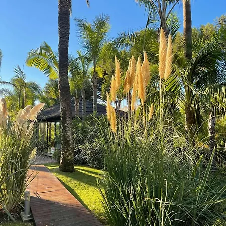 Villa In Palm Tree Plantation, Near The Beach.