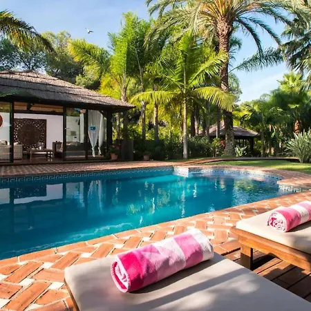 In Palm Tree Plantation, Near The Beach. Marbella