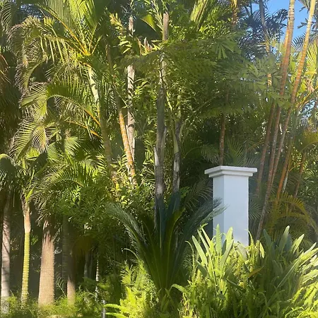 Villa In Palm Tree Plantation, Near The Beach. Marbella