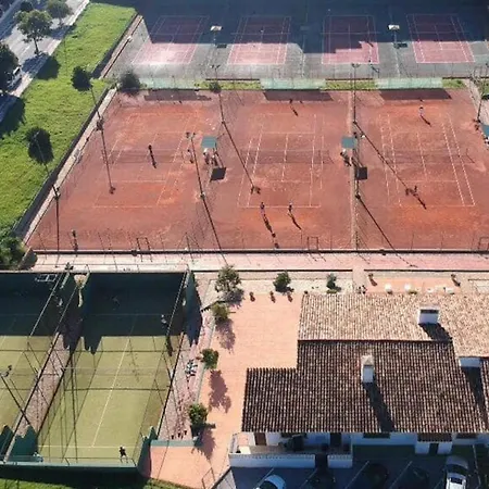 In Palm Tree Plantation, Near The Beach.