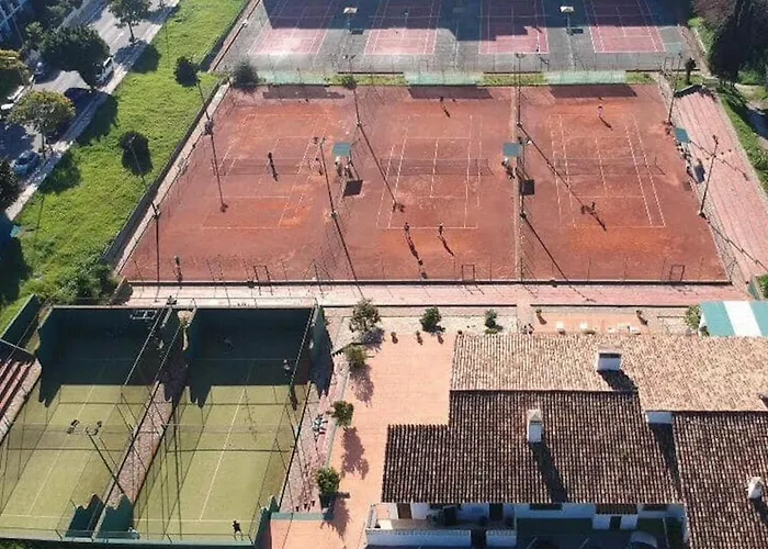 In Palm Tree Plantation, Near The Beach.