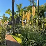 Vila In Palm Tree Plantation, Near The Beach.