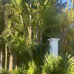 Vila In Palm Tree Plantation, Near The Beach. Marbella