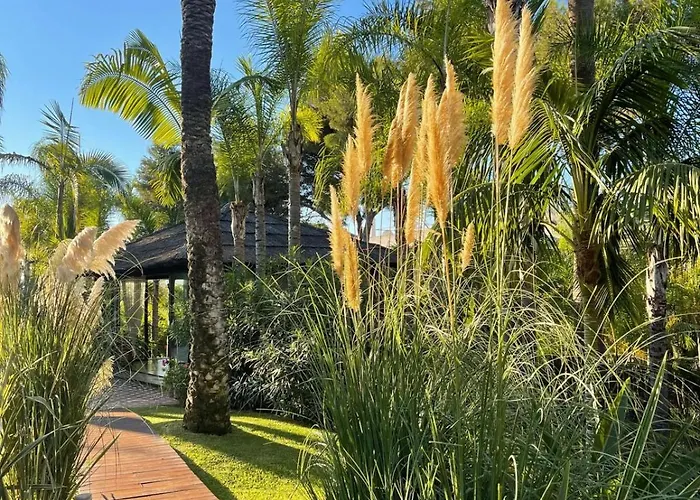 Villa In Palm Tree Plantation, Near The Beach.